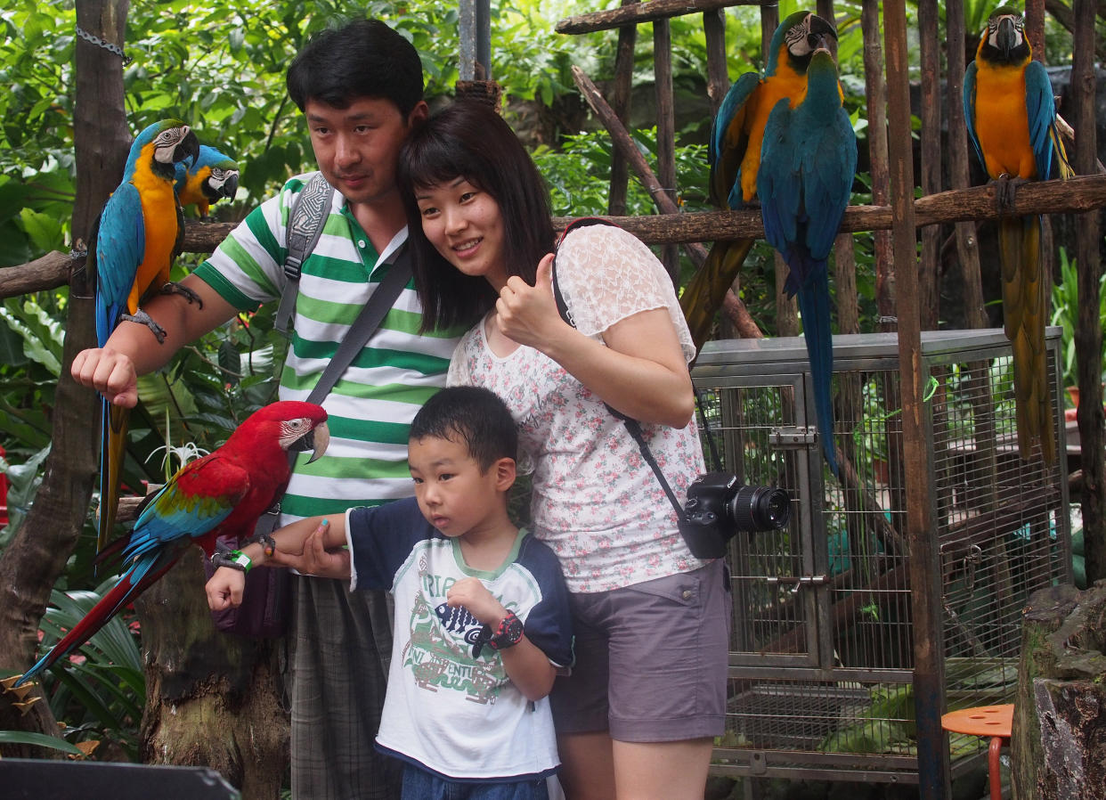 (GERMANY OUT) Parents and child pose with Macaws for photos, Butterfly Park and Insect Kingdom, on Sentosa Island, Singapore, 01.03.13  (Photo by Dagmar Scherf/ullstein bild via Getty Images)