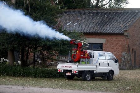 Municipal workers fumigate public areas against the aedes aegypti mosquito, the vector of the Zika virus, in Montevideo, Uruguay February 3, 2016. REUTERS/Andres Stapff