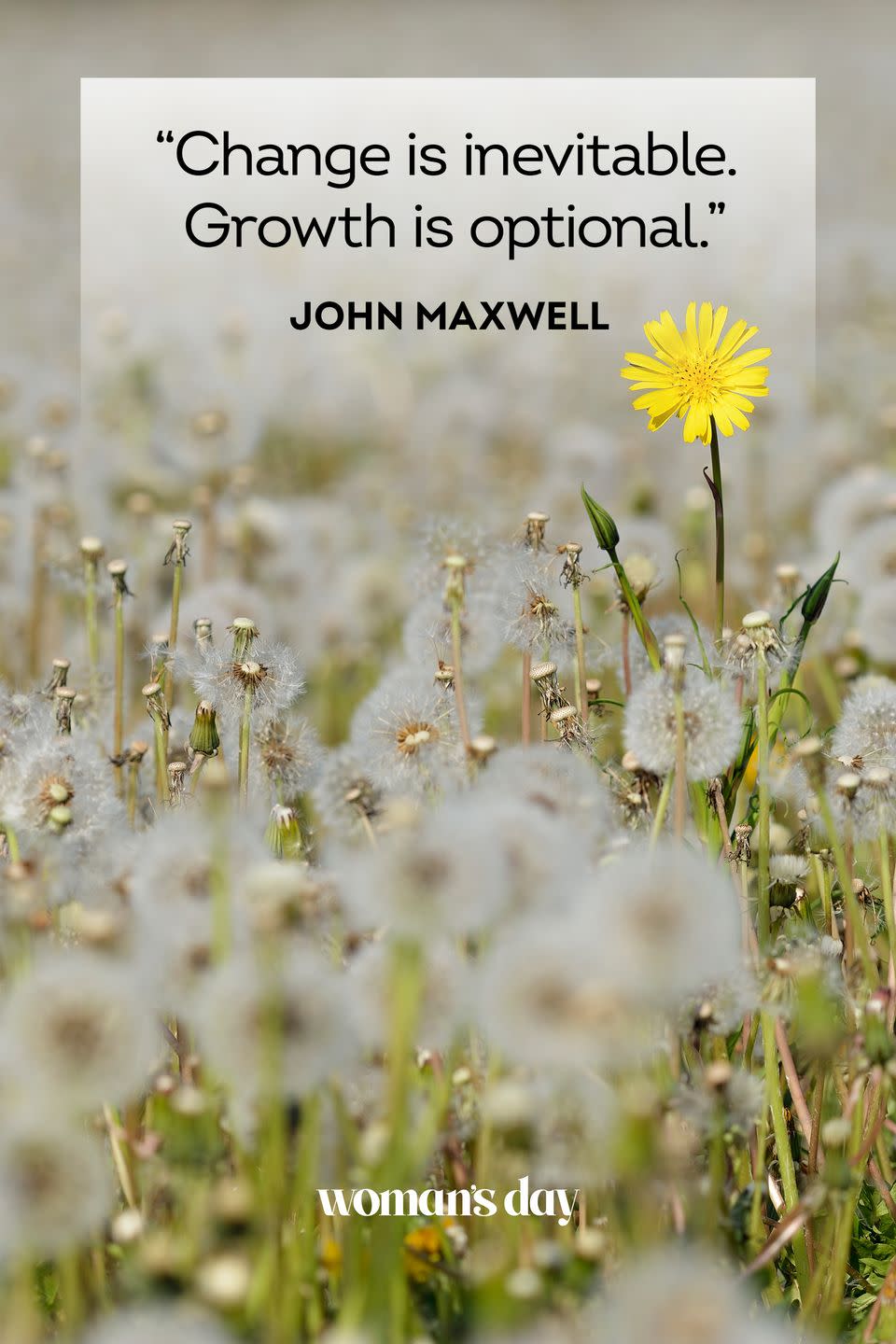 John Maxwell