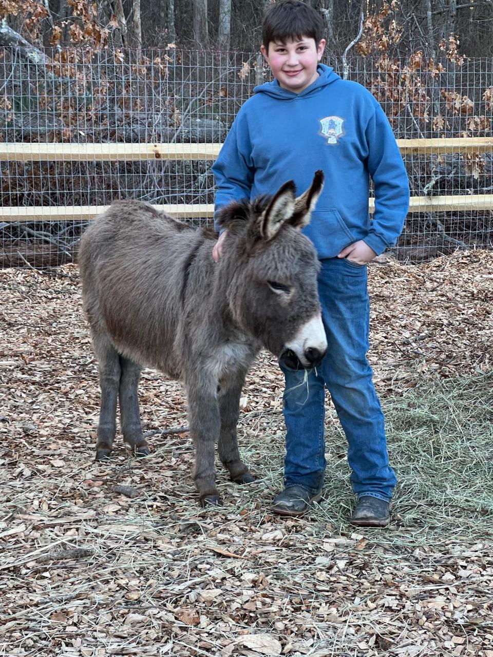 Anthony Ghazal pats his pet donkey, Lulu, at Deep Pond Farm in Taunton in an undated photo.