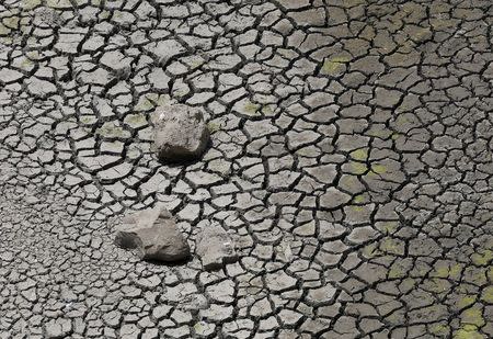 Cracked soil at Manjara Dam is seen in Osmanabad, April 17, 2016. REUTERS/Danish Siddiqui