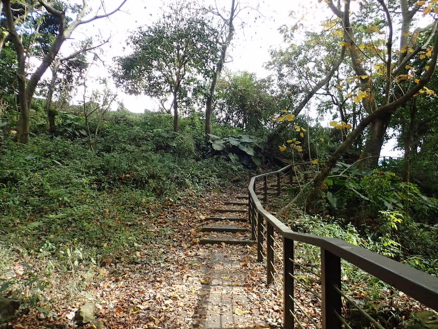 嘉義大風埕觀日峰＋油車寮步道