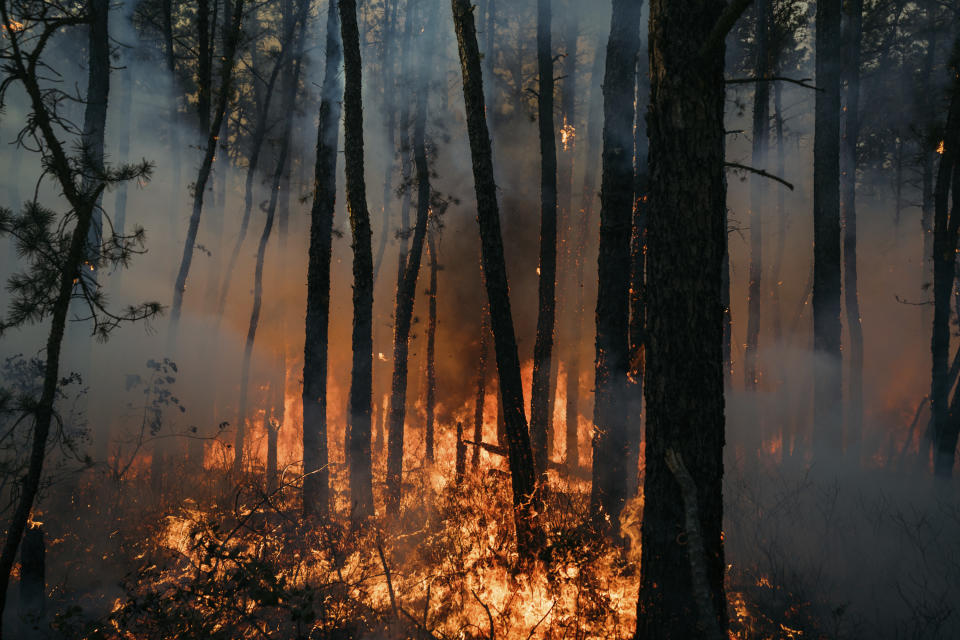 This Friday, July 5, 2024 image provided by the New Jersey Department of Environmental Protection shows a forest fire in Tabernacle, N.J. The fire had burned 4,000 acres and was 75% contained as of Monday July 8. (New Jersey Department of Environmental Protection via AP)