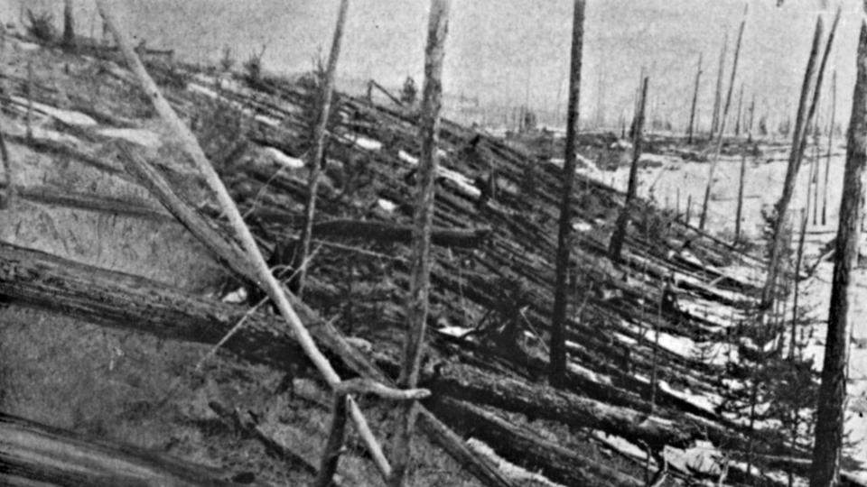 black and white photo showing felled trees after the Tunguska event