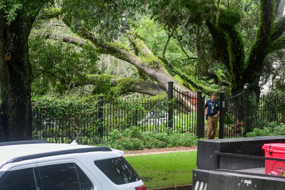 A tree toppled by Hurricane Idalia lies on the grounds of the Florida governor's mansion in Tallahassee, August 30, 2023. / Credit: Ehsan Kassim/USA Today Network via REUTERS