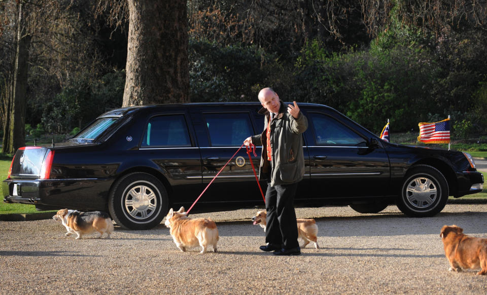 FILE - The Corgis belonging to Britain's Queen Elizabeth II are taken for a walk in the grounds of Buckingham Palace, on April 1, 2009, past US President Obama's car whilst he has an audience with the Queen. Queen Elizabeth II's corgis were a key part of her public persona and her death has raised concern over who will care for her beloved dogs. The corgis were always by her side and lived a life of privilege fit for a royal. She owned nearly 30 throughout her life. She is reportedly survived by four dogs. (AP Photo/Stefan Rousseau/pool)