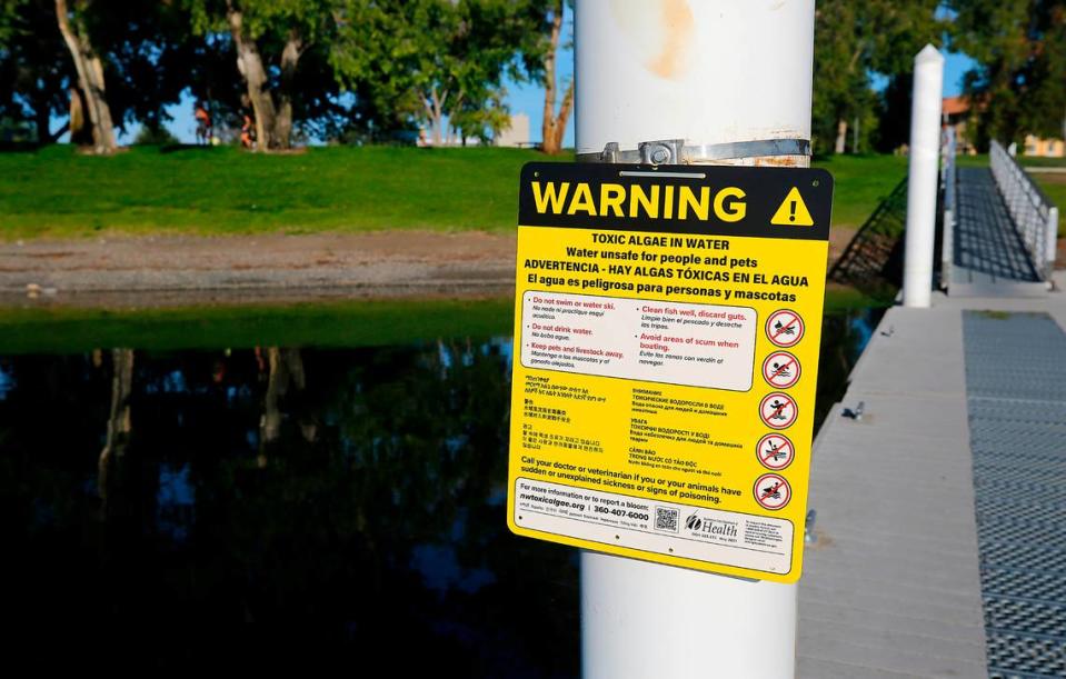 The Benton Franklin Health District has posted numerous signs warning that people and their pets should stay out of the Columbia River as unsafe levels of toxic algae have been found in Richland and Pasco.