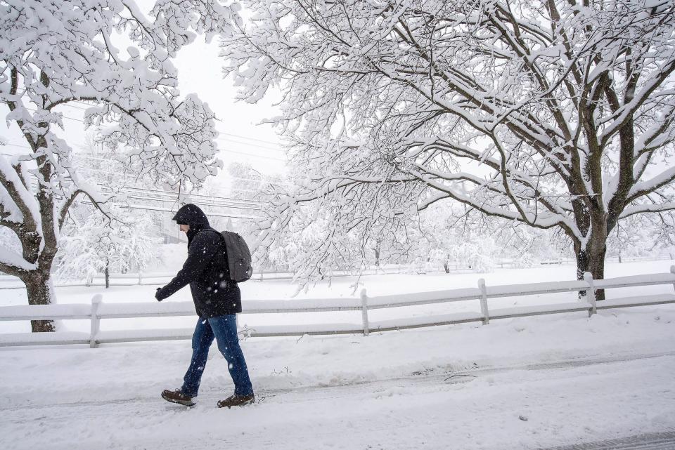 A pedestrian walks beneath snow-laden trees Thursday, April 4, 2024 in Northfield, Vt., as a major spring storm dumped heavy snow on the region. (Jeb Wallace-Brodeur/The Times Argus via AP)