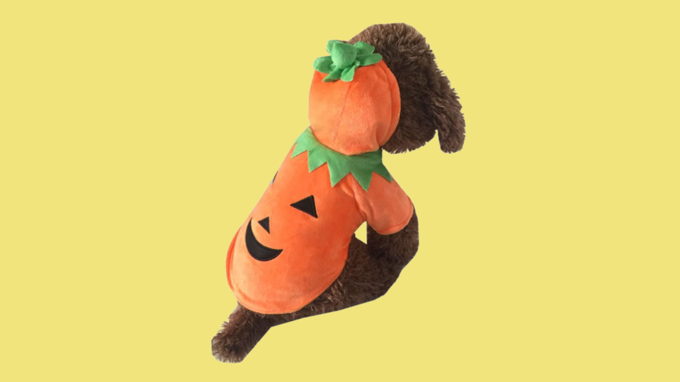 Popular Dog Costumes: Yoption Pumpkin Costume Hoodie