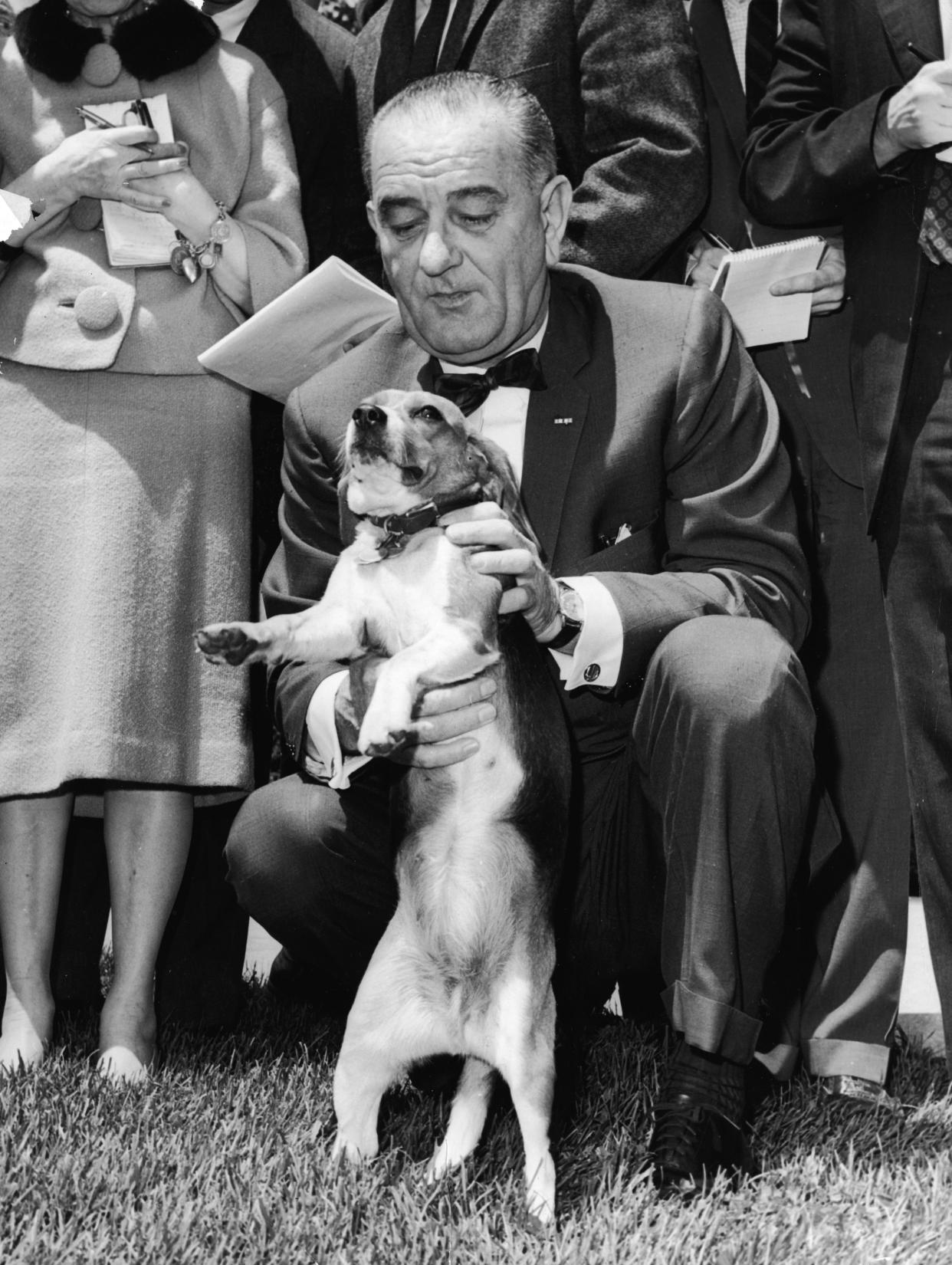 President Lyndon Baines Johnson pets his pet beagle, named 'Him,' as reporters look on on the White House lawn, Washington, DC, 1964. (Getty Images)