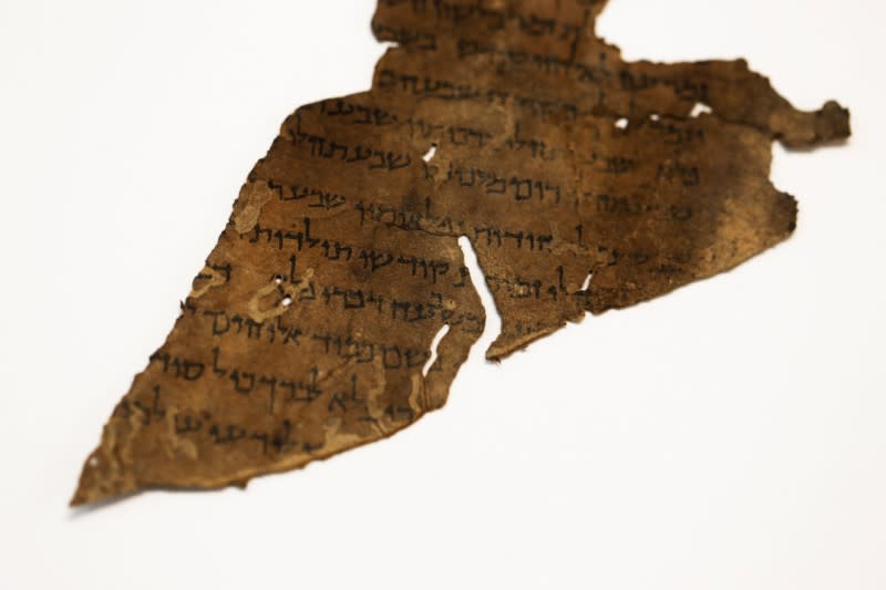 A fragment from the Dead Sea Scrolls that underwent genetic sampling to shed light on the 2,000-year-old biblical trove is shown to Reuters at the Israel Antiquities Authority laboratory in Jerusalem