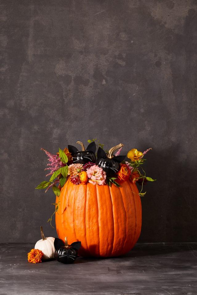 Carved Pumpkins, Smiling, on a Table Out of Doors Facing and Side