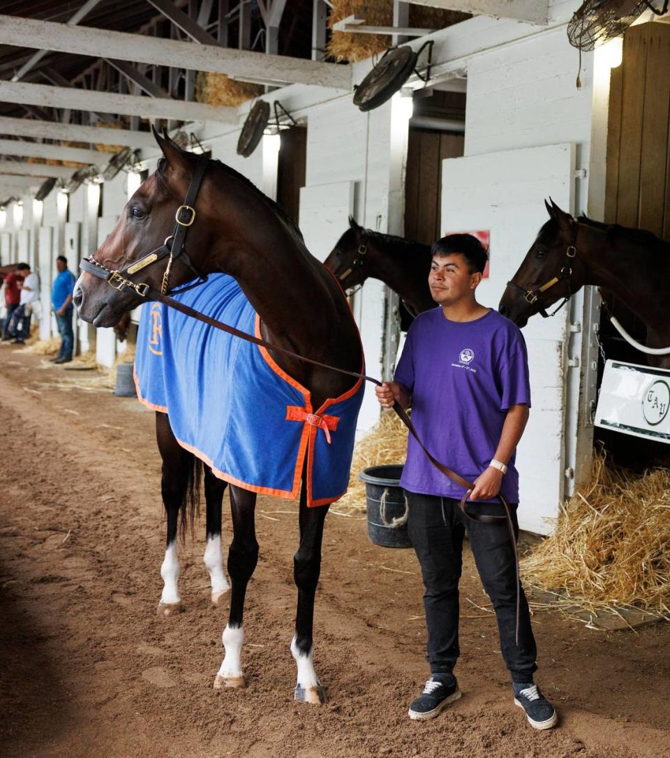 Hot-walker Tony Prado cools down scratched Kentucky Derby favorite Forte after a gallop on Saturday morning at Churchill Downs.