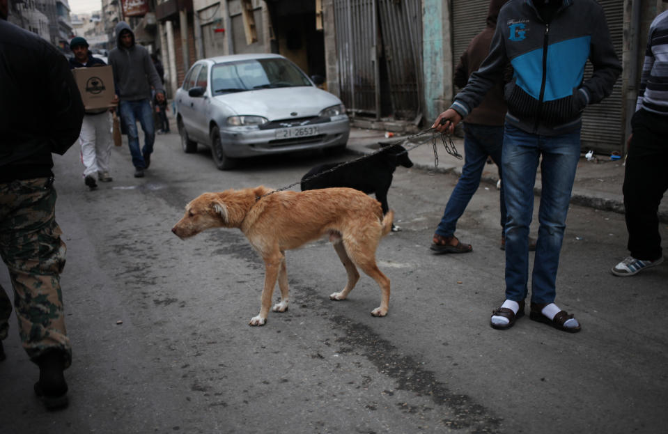 In this Friday, Nov. 22, 2013 photo, people sell stolen dogs at the so-called "thieves market" in downtown Amman, Jordan. Dog breeding coupled with dognapping is a thriving business in Jordan, where lax laws call for only a $7 fine for violators and police remain hesitant to pursue those suspected of animal abuse. Activists have campaigned for years for increased penalties, but lawmakers seem uninterested to pursue it in a culture where animal abuse remains rampant. (AP Photo/Mohammad Hannon)