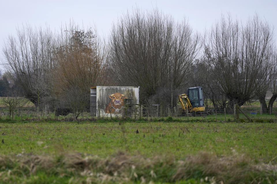 A shed with a painting of a bull sits in a field in West Flanders, Belgium, Wednesday, Feb. 21, 2024. After hundreds of tractors disrupted an EU summit in Brussels in early February, farmers plan to return on Monday to be there when farm ministers discuss an emergency item on the agenda; simplification of agricultural rules that some fear could also amount go a weakening of standards. (AP Photo/Virginia Mayo)