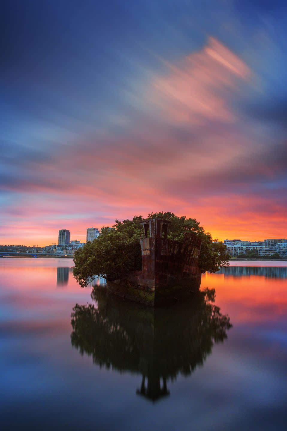 17) The Floating Forest, Australia