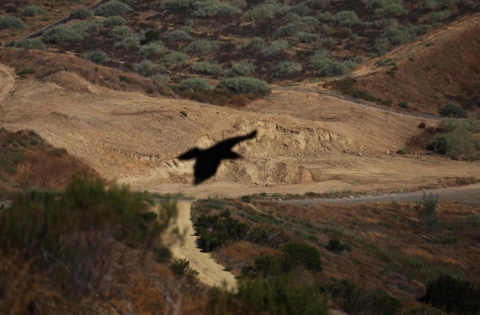 A crow flies over a portion of the future Puente Hills Landfill Park in Puente Hills