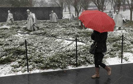 A woman holds her umbrella against the driving show as she visits the Korean War Veterans Memorial on National Mall in Washington January 21, 2014. REUTERS/Kevin Lamarque