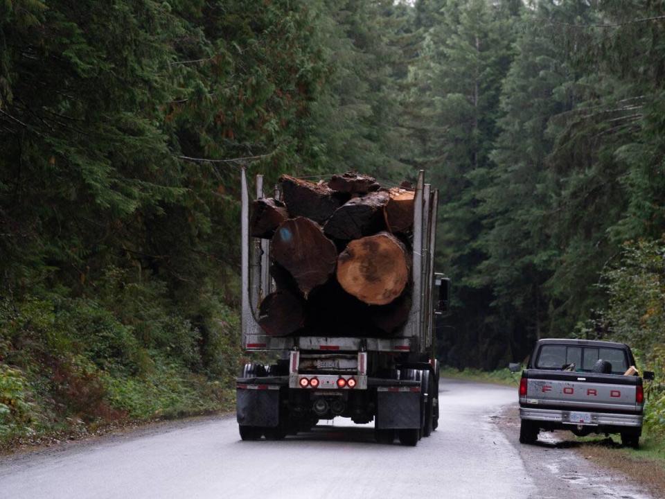 A logging truck is seen driving past the Fairy Creek logging area near Port Renfrew, B.C., in October 2021. Civil unrest over old-growth logging is one challenge the forestry sector faces in attracting a new generation of workers. (Jonathan Hayward/The Canadian Press - image credit)