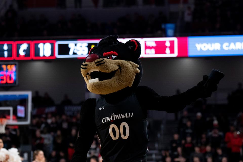 The Cincinnati Bearcat mascot holds a t-shirt to throw in the first half of the men’s basketball game between the Bearcats and the Houston Cougars at Fifth Third Arena in Cincinnati on Sunday, Jan. 8, 2023