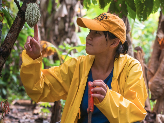 Mayumi Ogata, japonesa, La Cazadora de Cacao (Hunter Cacao). Cortesía: El pais. com