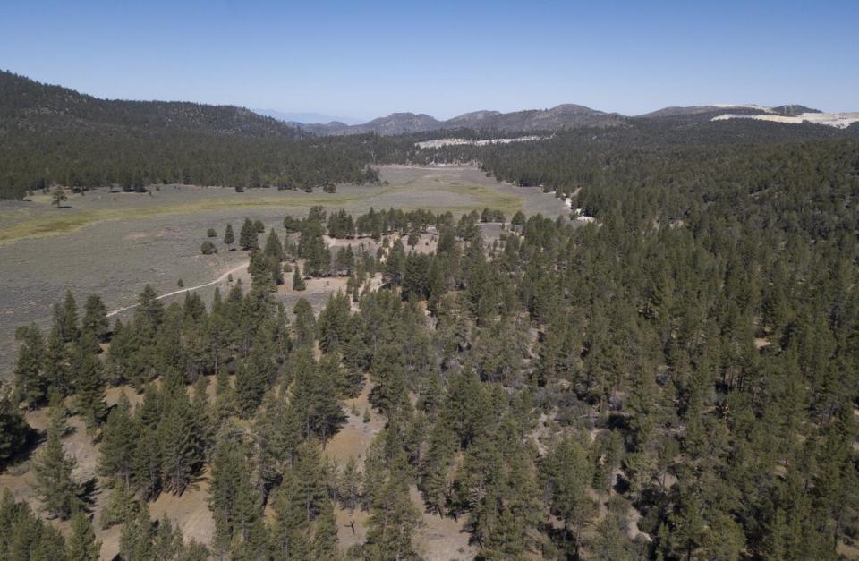 An aerial view of eastern Big Bear Valley