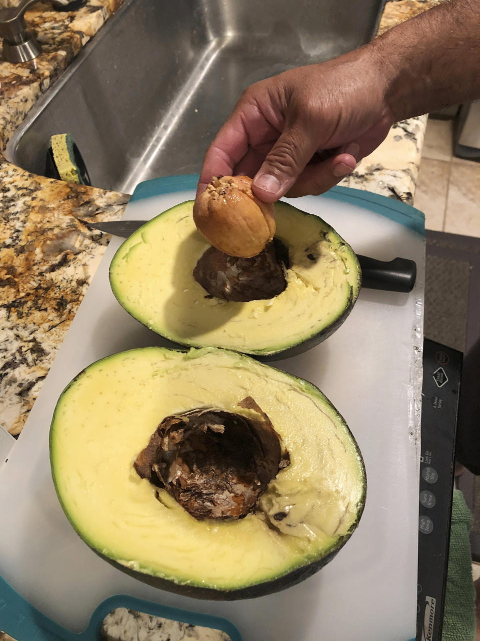 This Dec. 13, 2018 photo provided by Juliane Pokini shows a giant avocado being cut to make into guacamole at Kula Country Farms in Kula,Hawaii. The Pokini family from the island of Maui received the Guinness certificate this week for the avocado weighing 5.6 pounds (2.54 kilograms), The Maui News reported Thursday, Oct. 11, 2019. (Juliane Pokini via AP)