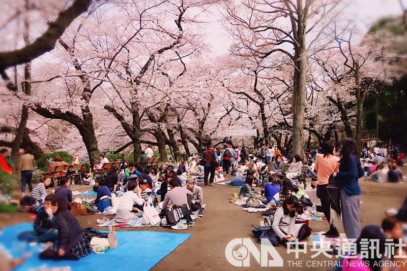 日本約6成女性地方議員曾被騷擾 影響參政意願。（示意圖）