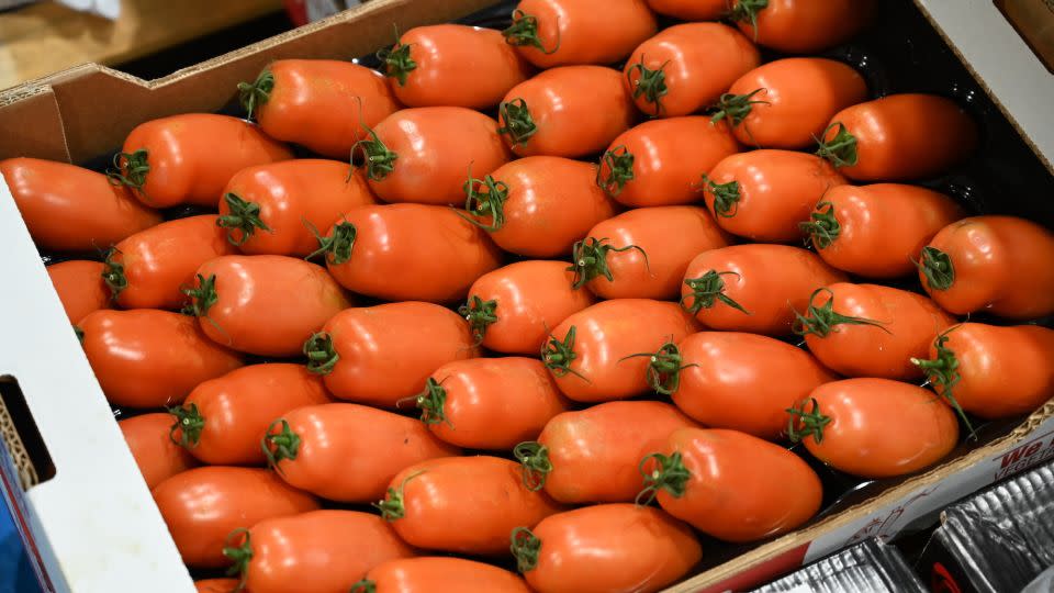 Roma tomatoes from Spain at the Birmingham Wholesale Market in Birmingham, UK. - Courtesy Birmingham Wholesale Market