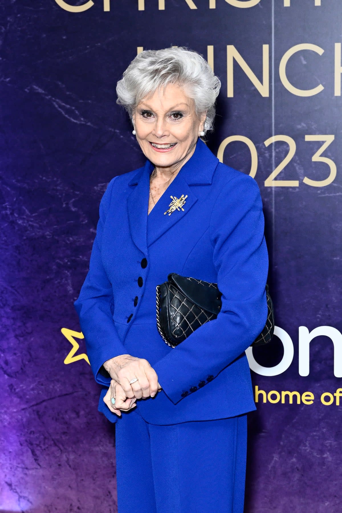 Angela Rippon pictured at the TRIC Christmas Lunch at The London Hotel on Tuesday  (Gareth Cattermole/Getty Images)