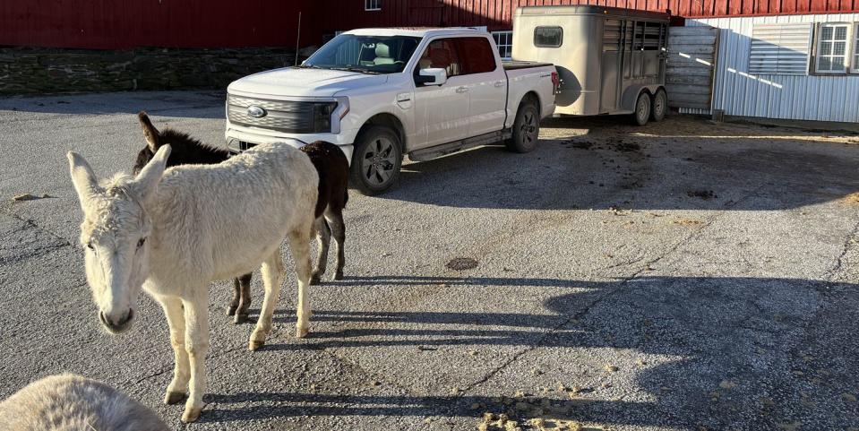 ford lightning with trailer in front of a red barn