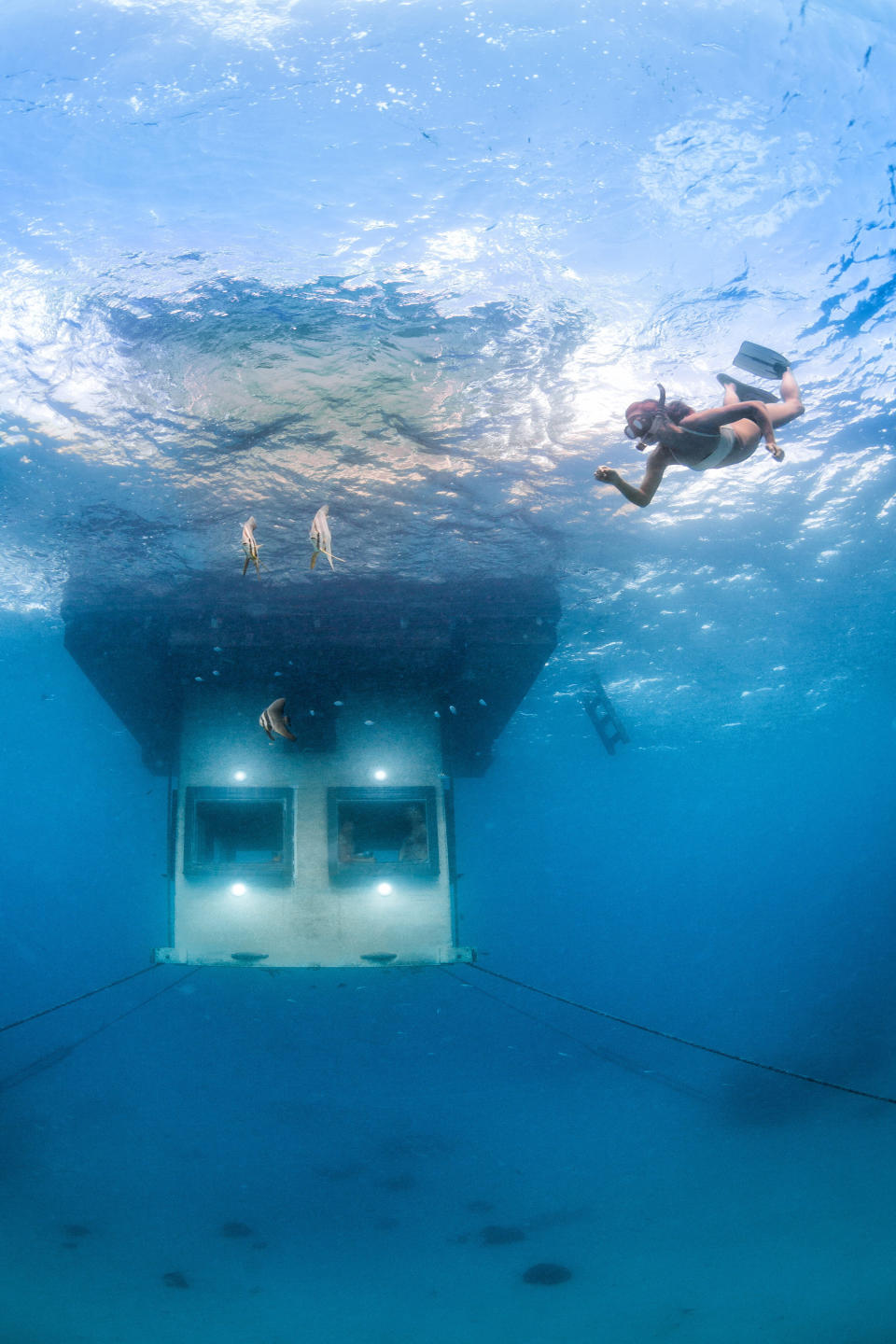 Steven Weber popped the question by swimming down to the submerged bedroom window and holding a note up to the glass. The underwater room is pictured. (Photo: © Manta Resort)