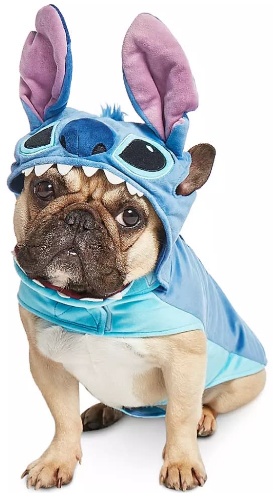 Stitch Costume for Dogs (Photo via ShopDisney.com)