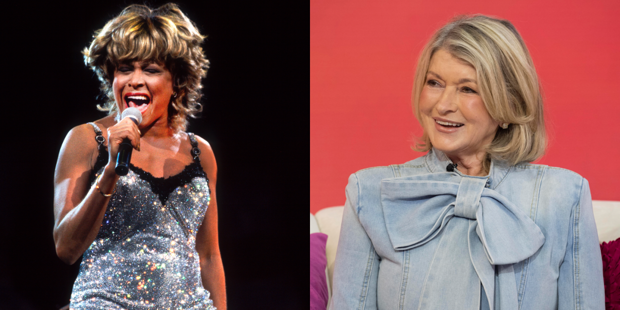 tina turner and martha stewart