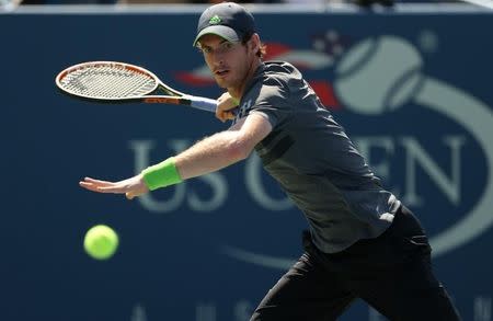 Andy Murray of Britain hits a return to Robin Haase of the Netherlands during their match at the 2014 U.S. Open tennis tournament in New York, August 25, 2014. REUTERS/Adam Hunger