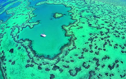 Heart Reef. Photo: Hamilton Island