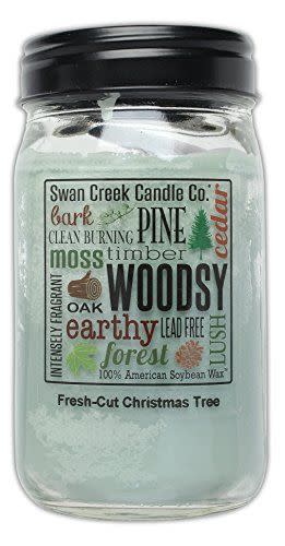 <p><strong>Swan Creek Candle</strong></p><p>amazon.com</p><p><strong>$29.95</strong></p><p><a href="https://www.amazon.com/dp/B00NGP29RI?tag=syn-yahoo-20&ascsubtag=%5Bartid%7C10050.g.34055055%5Bsrc%7Cyahoo-us" rel="nofollow noopener" target="_blank" data-ylk="slk:Shop Now;elm:context_link;itc:0;sec:content-canvas" class="link ">Shop Now</a></p><p>Swan Creek's candles might just be some of the strongest smelling ones we've every come across, which is great for filling your home with the scents of the season. In addition to this jar container, they also offer pottery options. </p>