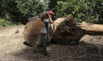 A man named Tiago, who was hired by loggers to cut trees from the Amazon rainforest, carries his chainsaw past fallen trees in Jamanxim National Park near the city of Novo Progresso, Para State in this June 21, 2013 file photo. To match Special Report BRAZIL-DEFOREST/ REUTERS/Nacho Doce/Files (BRAZIL - Tags: ENVIRONMENT CRIME LAW POLITICS BUSINESS EMPLOYMENT)