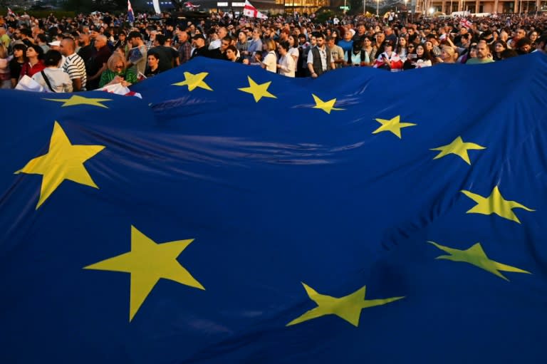 The kilometre-long procession was led by a huge EU flag (Vano SHLAMOV)