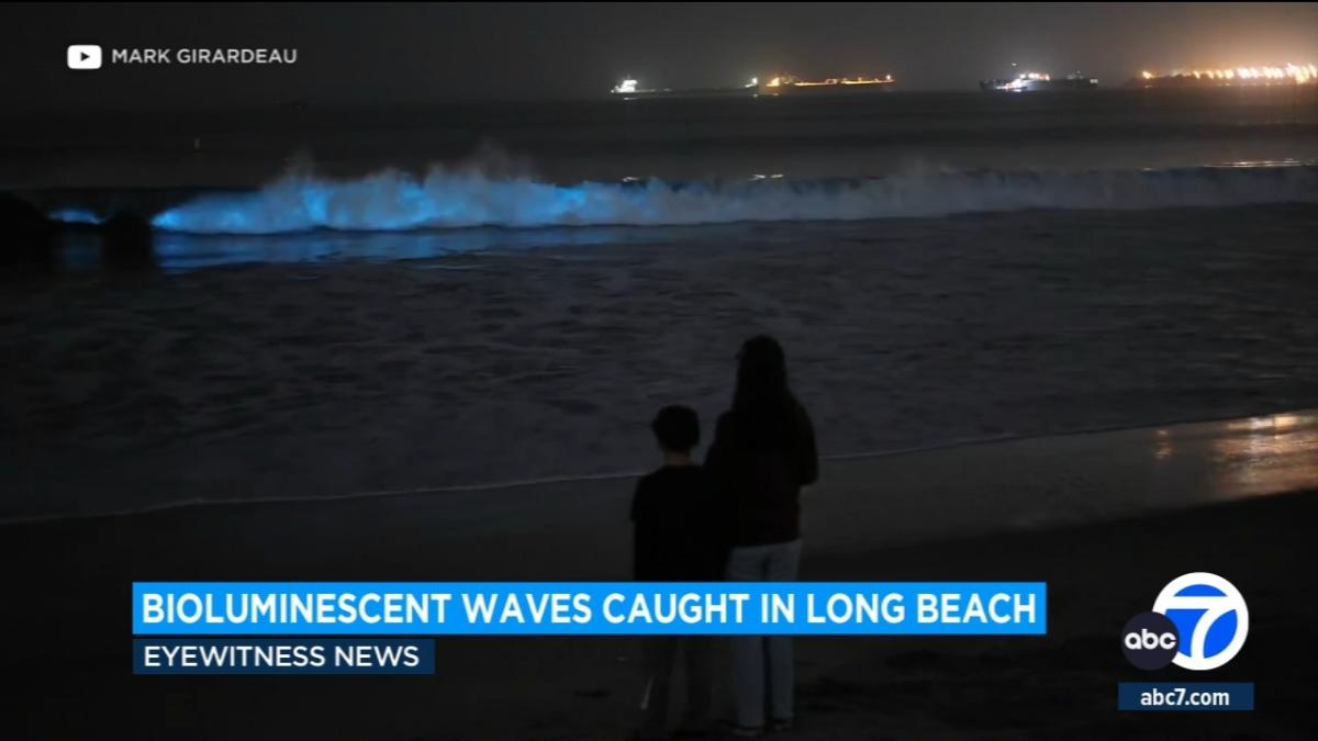 Video Beachgoers frolic in electric blue bioluminescent water - ABC News