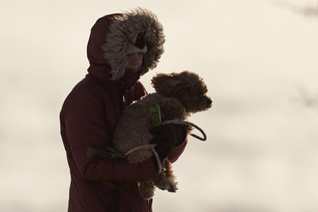 A woman carries her dog in the bitter cold, Saturday, Feb. 4, 2023, in Portland, Maine. The morning temperature was about -10 degrees Fahrenheit. (AP Photo/Robert F. Bukaty)