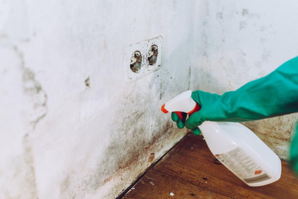 woman removing house mold with chlorine in her property