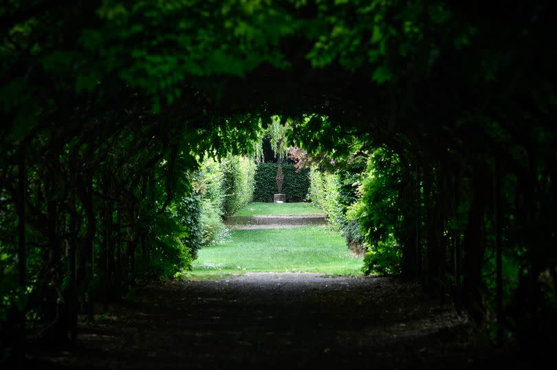 The gardens features a magnificent wisteria arch