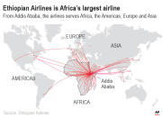 Ethiopian is Africa's biggest airline, one of the only turning a profit on the continent.;