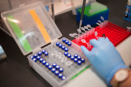 A woman uses vials for drug testing at MolecularDX in Windber, Pennsylvania, U.S. on August 9, 2017. REUTERS/Adrees Latif