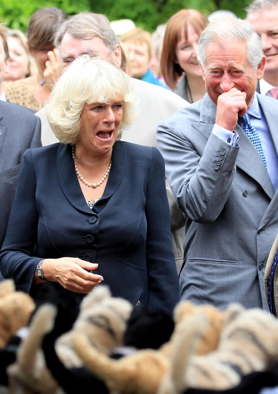 Prince Charles and Camilla  watch a performance of Henry Dagg's 'Cat Organ' during a visit to 'The Garden Party to Make a Difference' at Clarence House (Getty Images)