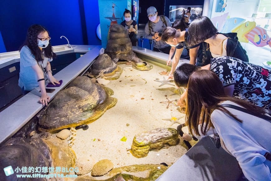 澎湖水族館