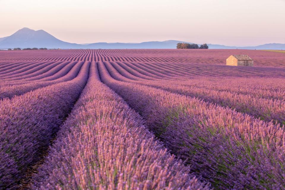 Provence, France