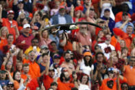 Auburn's eagle Independence flies around Jordan-Hare Stadium before an NCAA college football game between LSU and Auburn, Saturday, Oct. 1, 2022, in Auburn, Ala. (AP Photo/John Bazemore)