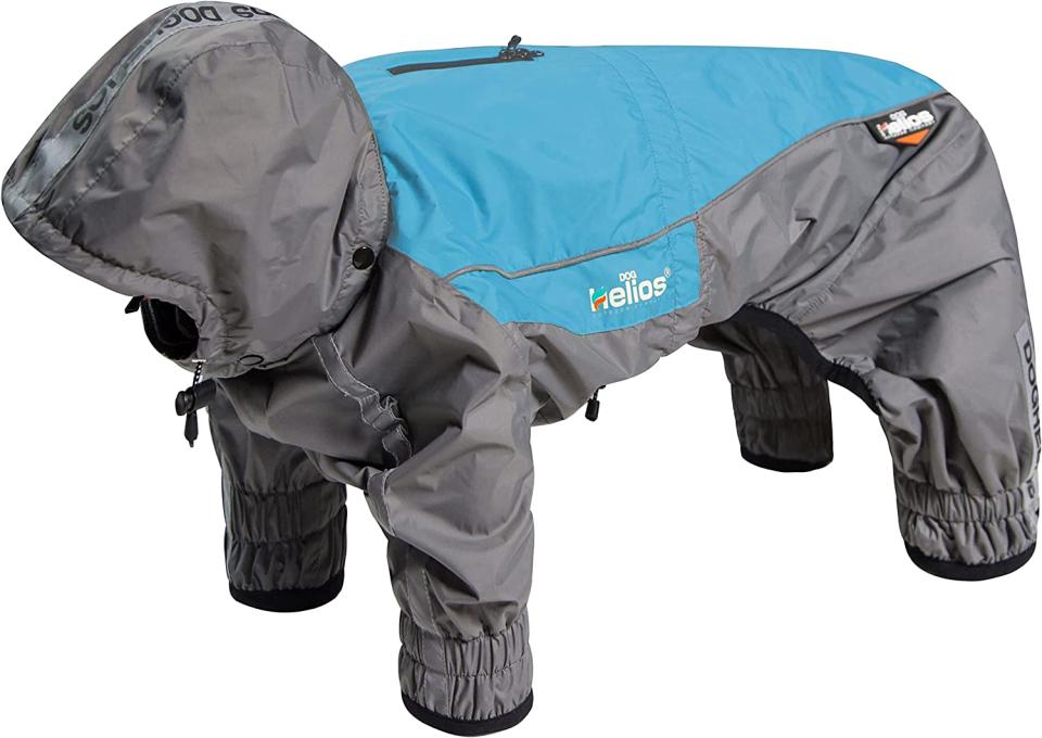 Dog Helios Arctic Blast